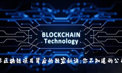 揭秘国际区块链项目背后的独家秘诀：你不知道的公司与趋势