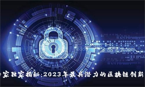 区块链专家独家揭秘：2023年最具潜力的区块链创新想法秘诀