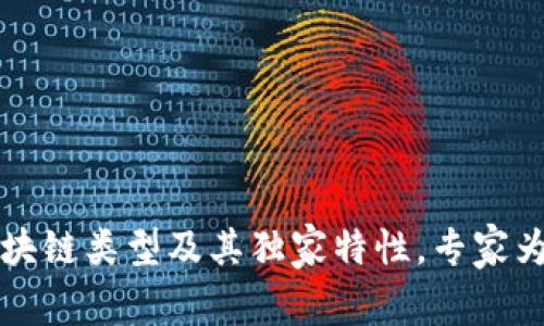 揭秘区块链类型及其独家特性，专家为你揭示