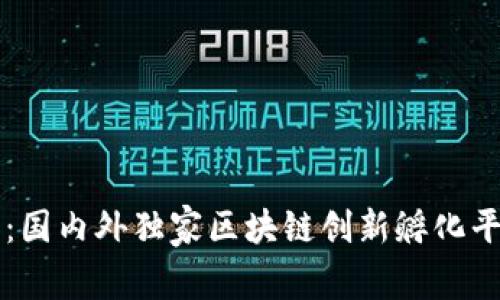 专家揭示：国内外独家区块链创新孵化平台的秘诀