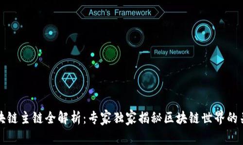 全球区块链主链全解析：专家独家揭秘区块链世界的关键秘诀
