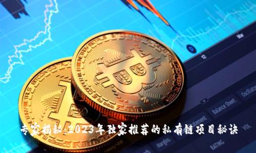 专家揭秘：2023年独家推荐的私有链项目秘诀