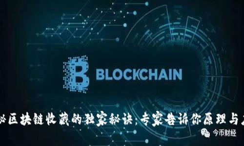 揭秘区块链收藏的独家秘诀：专家告诉你原理与应用