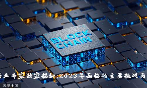 区块链行业专家独家揭秘：2023年面临的主要挑战与应对秘诀