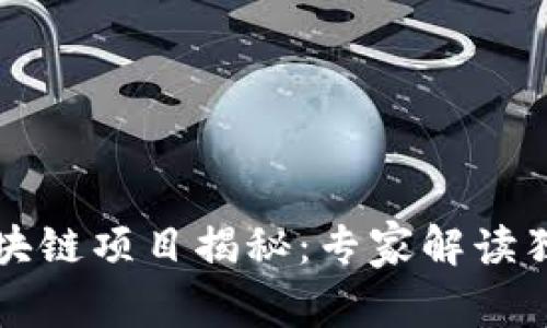 纽约区块链项目揭秘：专家解读独家秘诀