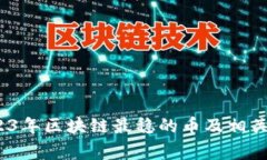 专家揭秘：2023年区块链最稳的币及相关股票独家