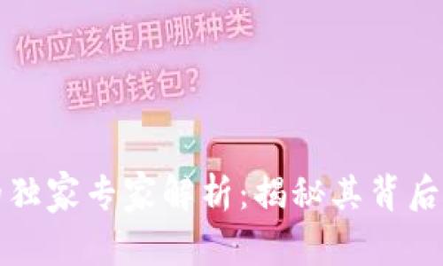 区块链发票的独家专家解析：揭秘其背后的运作与优势