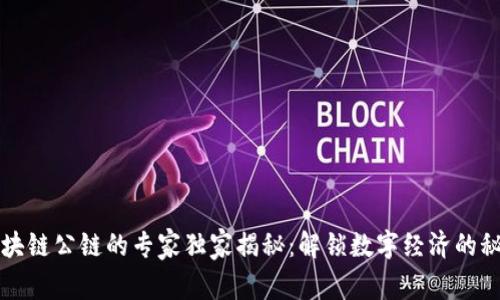 区块链公链的专家独家揭秘：解锁数字经济的秘诀