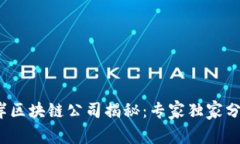 2023年离岸区块链公司揭秘：专家独家分享成功秘