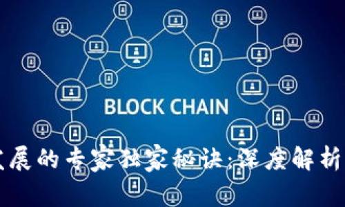 区块链发展的专家独家秘诀：深度解析基本要求