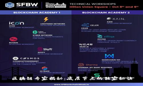 区块链专家揭秘：底层节点的独家秘诀