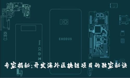 专家揭秘：开发海外区块链项目的独家秘诀