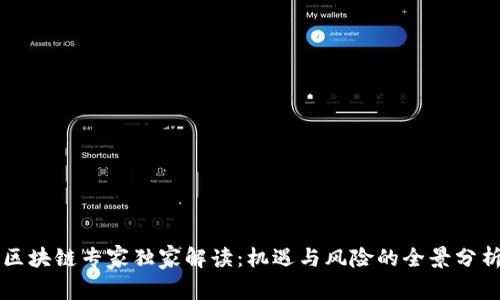 区块链专家独家解读：机遇与风险的全景分析