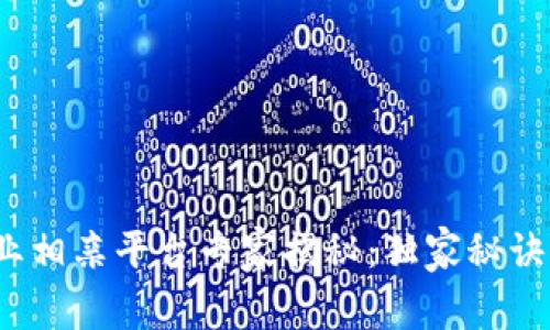 2023年区块链行业相亲平台专家揭秘：独家秘诀助你找到理想伴侣