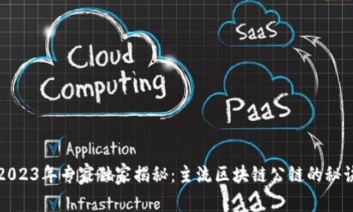 2023年专家独家揭秘：主流区块链公链的秘诀