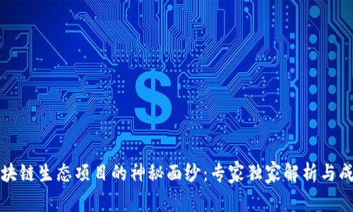 揭开区块链生态项目的神秘面纱：专家独家解析与成功秘诀