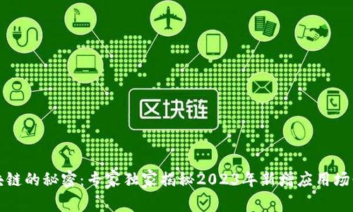 揭开区块链的秘密：专家独家揭秘2023年新增应用场景的秘诀