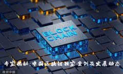 专家揭秘：中国区块链独家案例及发展动态