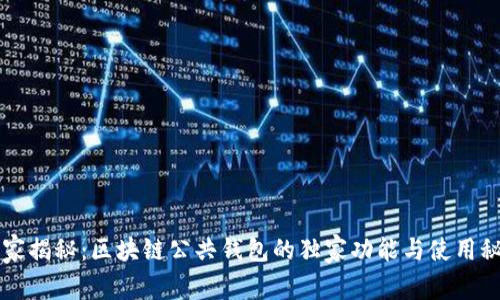 专家揭秘：区块链公共钱包的独家功能与使用秘诀