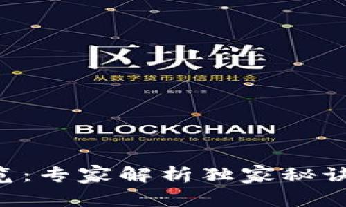 区块链开发任务一览：专家解析独家秘诀，助你启航技术之路