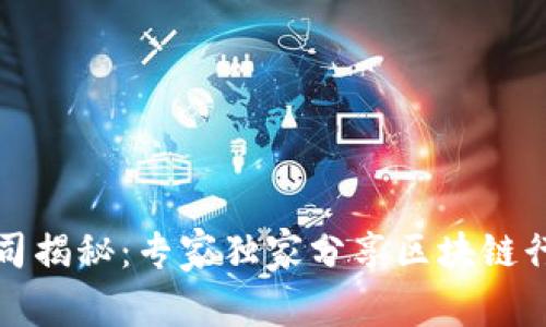 江山区区块链公司揭秘：专家独家分享区块链行业的潜力与秘诀