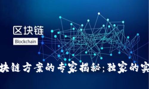 企业区块链方案的专家揭秘：独家的实施秘诀