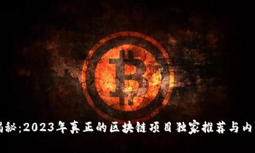 专家揭秘：2023年真正的区块链项目独家推荐与内幕秘诀