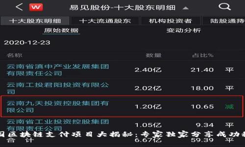 泰国区块链支付项目大揭秘：专家独家分享成功秘诀