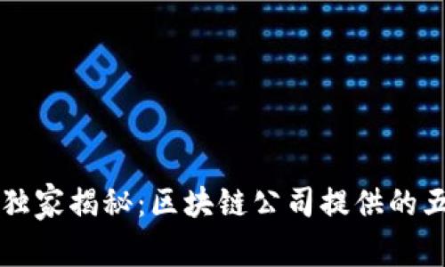 区块链公司专家独家揭秘：区块链公司提供的五大核心服务秘诀