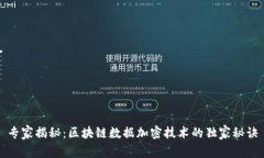 专家揭秘：区块链数据加密技术的独家秘诀