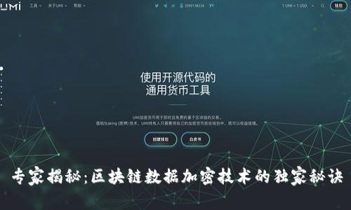专家揭秘：区块链数据加密技术的独家秘诀