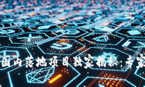 2023年区块链国内落地项目独家揭秘：专家分享六大秘诀！