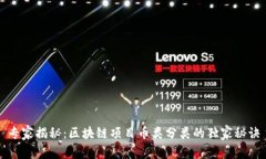 专家揭秘：区块链项目币类分类的独家秘诀