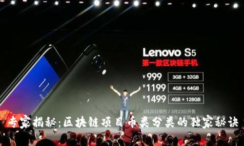 专家揭秘：区块链项目币类分类的独家秘诀