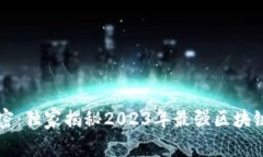 区块链专家揭密：独家揭秘2023年最强区块链芯片
