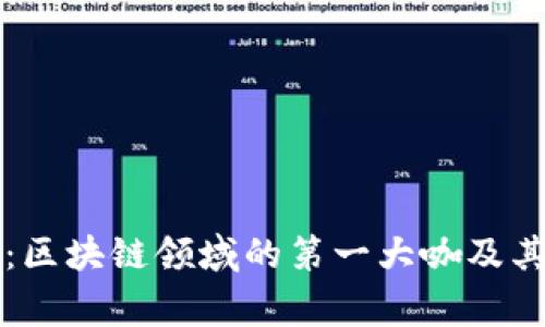 专家解析：区块链领域的第一大咖及其独家秘诀