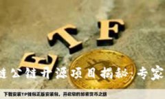 2023年区块链公链开源项目揭秘：专家分享独家秘