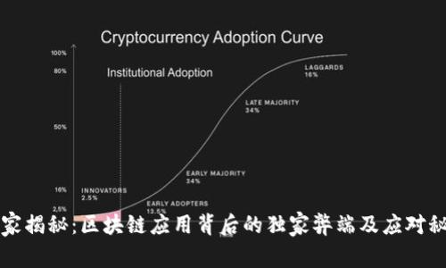 专家揭秘：区块链应用背后的独家弊端及应对秘诀