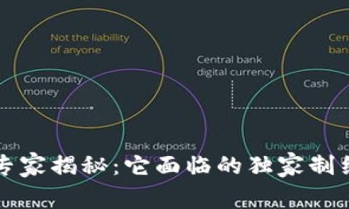 区块链发展的专家揭秘：它面临的独家制约点和突破秘诀