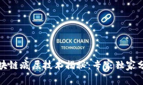 保定区块链底层技术揭秘：专家独家分享秘诀