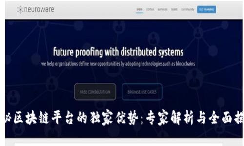 揭秘区块链平台的独家优势：专家解析与全面揭秘