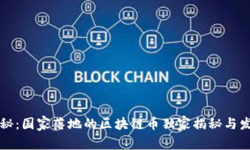 专家揭秘：国家落地的区块链币独家揭秘与发展秘诀