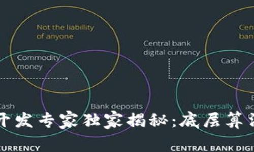区块链开发专家独家揭秘：底层算法的秘诀