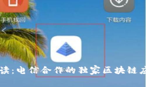 专家解读：电信合作的独家区块链应用秘诀