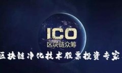 2023年区块链净化技术股票投资专家独家揭秘