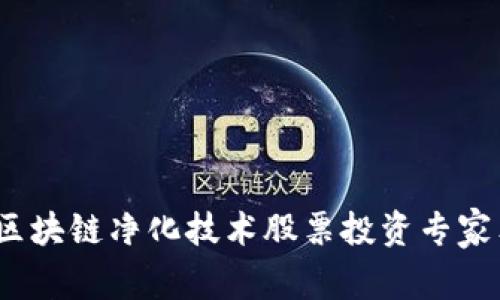 2023年区块链净化技术股票投资专家独家揭秘