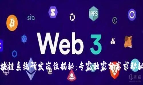 区块链系统研发岗位揭秘：专家独家分享求职秘诀