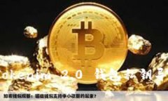 专家揭秘：Tokenim 2.0 钱包私钥导出独家秘诀