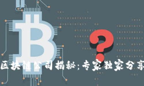 全球知名的区块链公司揭秘：专家独家分享的成功秘诀