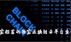 2023年专家推荐的独家区块链云平台查询网站秘诀